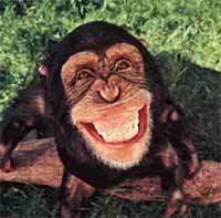 SORRISO+DO+BONOBO